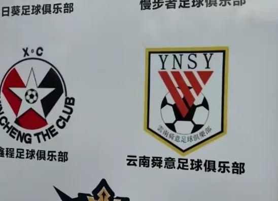 云南鲁能泰山？最近有球迷吐槽，云南某球队跟山东泰山的logo一模一样，完全是山