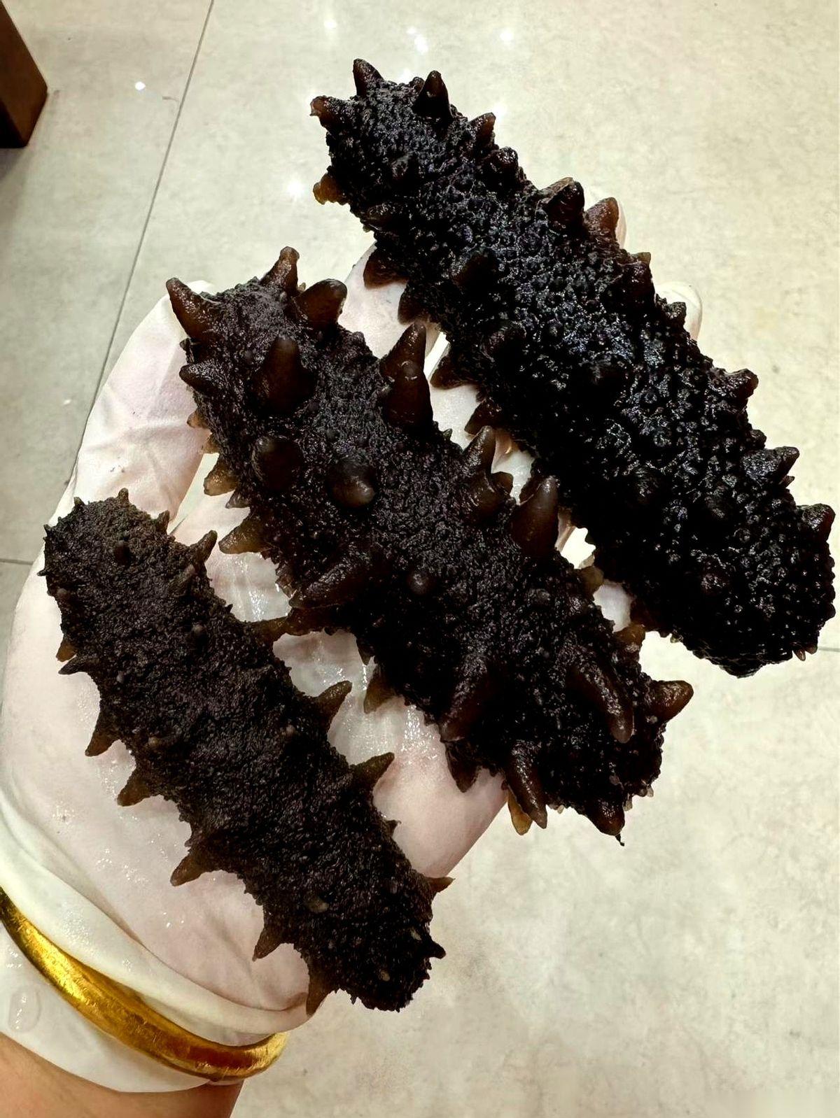 一口下去，一顿外卖钱没了。朋友卖海参，大连的，2600一斤。算下来一个得26块