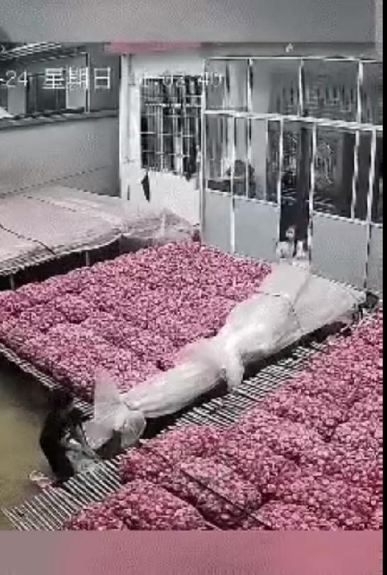 上人民日报了。近日，江苏两个小孩立大功了，他们的举动，直接让全网都竖起了大拇指