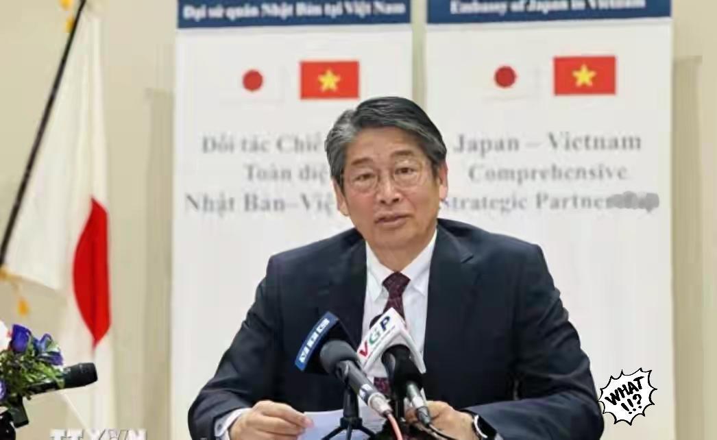 日本连夜跑路让越南政府如遭雷击2025年底，一则来自日本驻越南大使伊藤直树