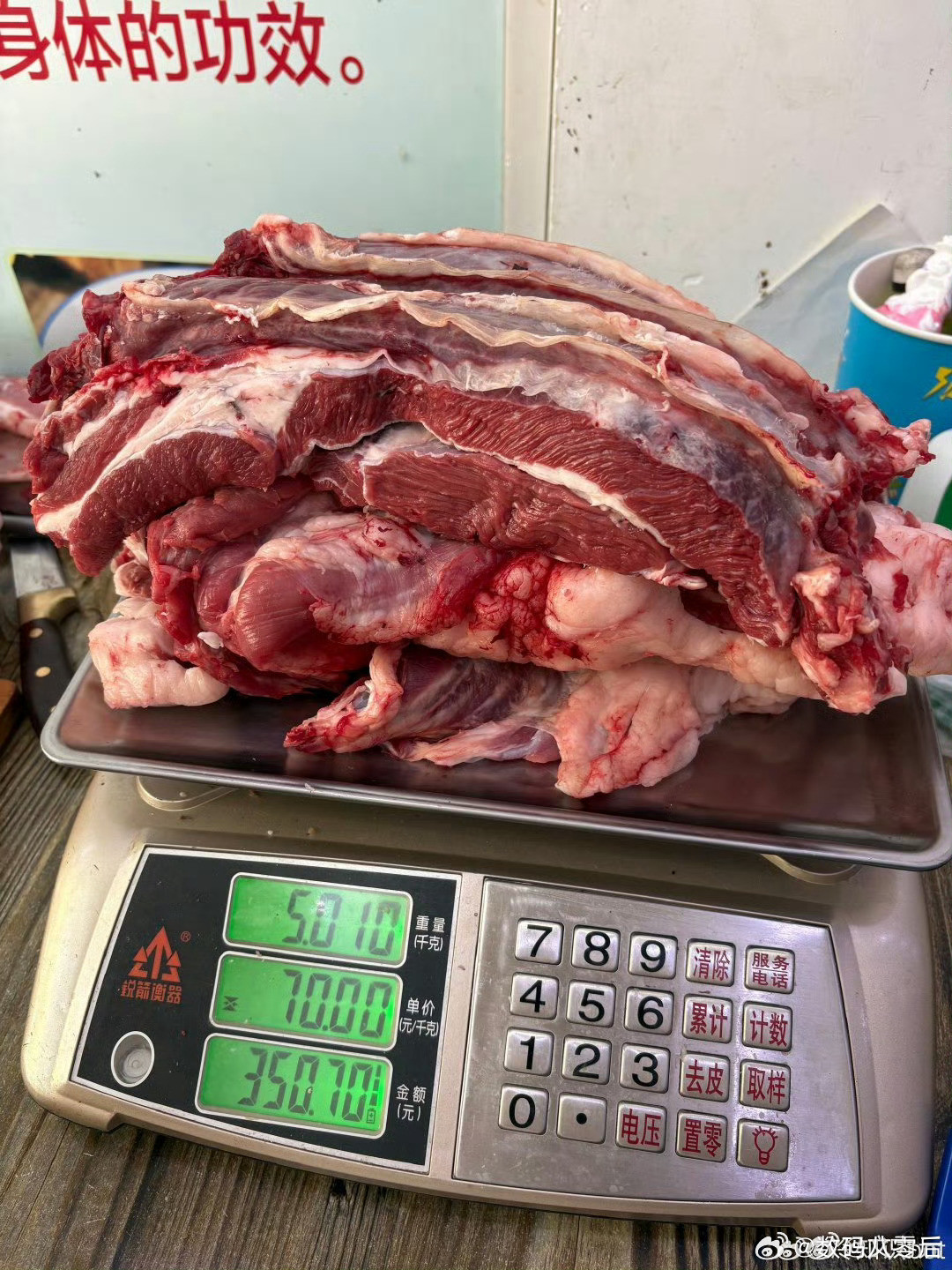 减肥十斤就是掉了这么多肉减肥40多斤的我也就是掉了4个这多肉！[大笑]​​​