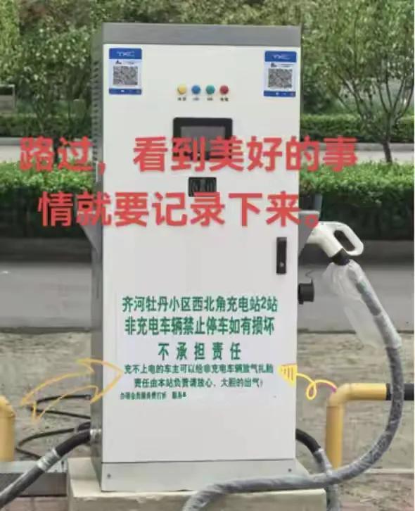 齐河县马路边出现奇葩事！有网友反映，在齐河县牡丹小区西北角，马路边上，新安装几