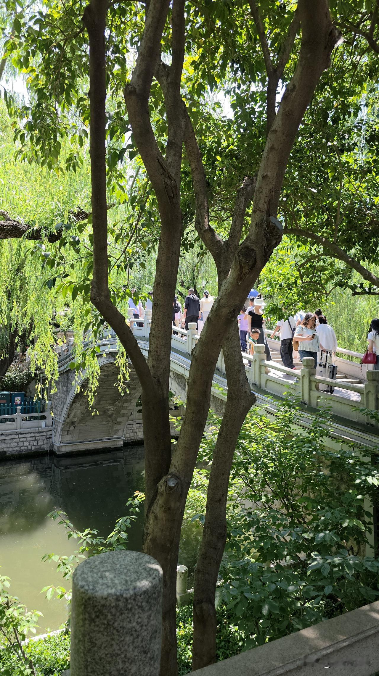 有个大姐发来私信，让我帮她出主意，我觉得她的想法不可行……大姐说她的情况是这