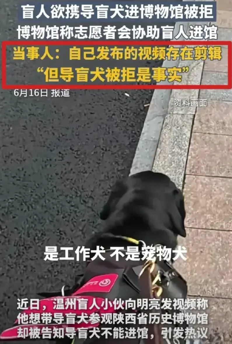 谁才是主体？盲人？导盲犬？导盲犬作为工作犬是引导盲人行动。现在很多人把盲人