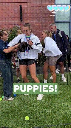 美网举行了puppyday，邀请一众球员与狗狗互动。看了视频，没想到强如萨巴