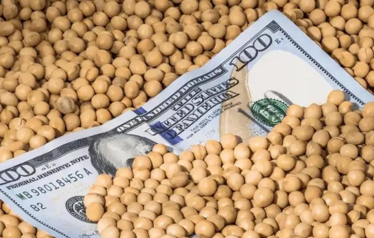 解释不清了！当一船满载6.9万吨巴西大豆的货轮靠泊江苏泰州码头时，谁也没想到，大