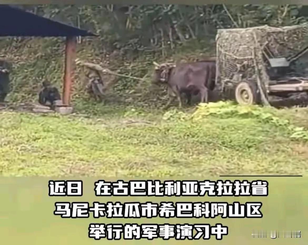 古巴军演是来搞笑的吧！太寒酸了。士兵们将一门轻型高射炮安装在一辆由牛拉着的普通