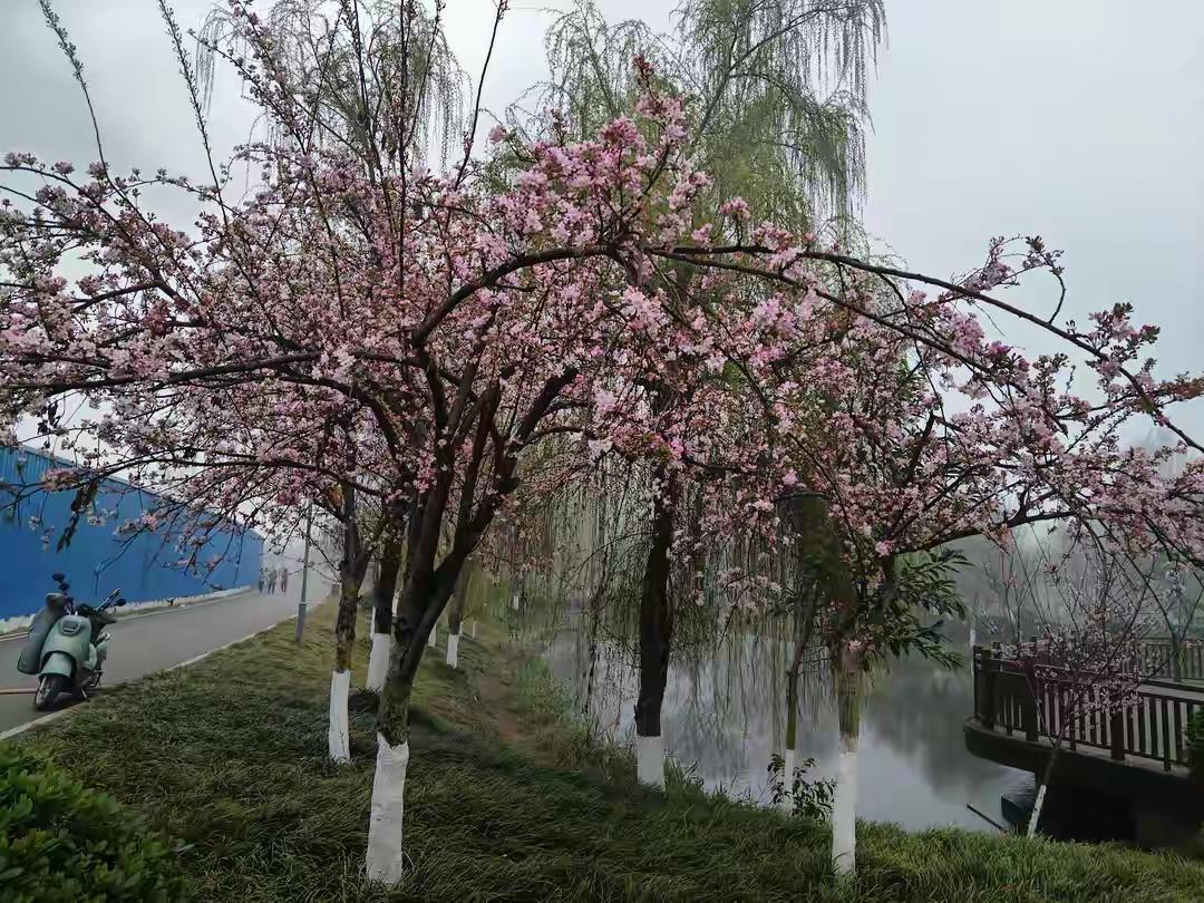 情人之间，能走过10年的，大多做对了这五件事，尤其是最后一件情人之间能够携手走