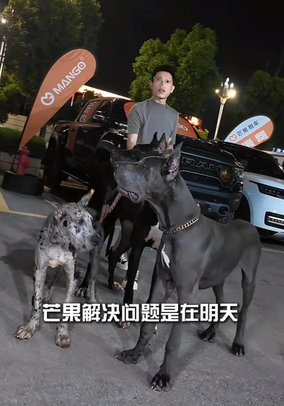 “太猖狂了！”云南昆明，外卖小哥到一家租车行送餐，突然遇到三条未栓绳的大型犬冲出