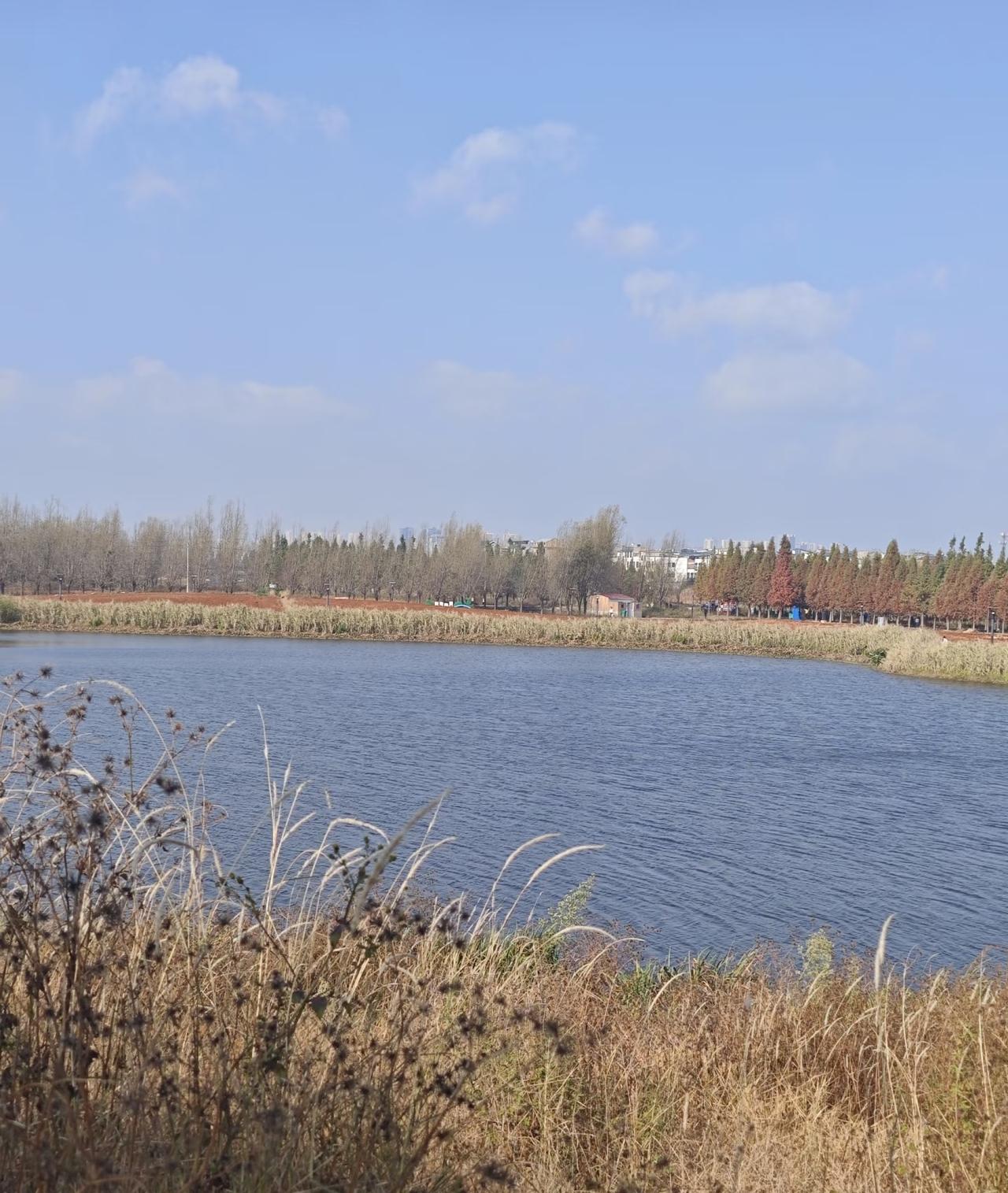 余额宝存钱有风险吗？真相不是“零风险”，但普通人完全不用慌身边不管是年轻人