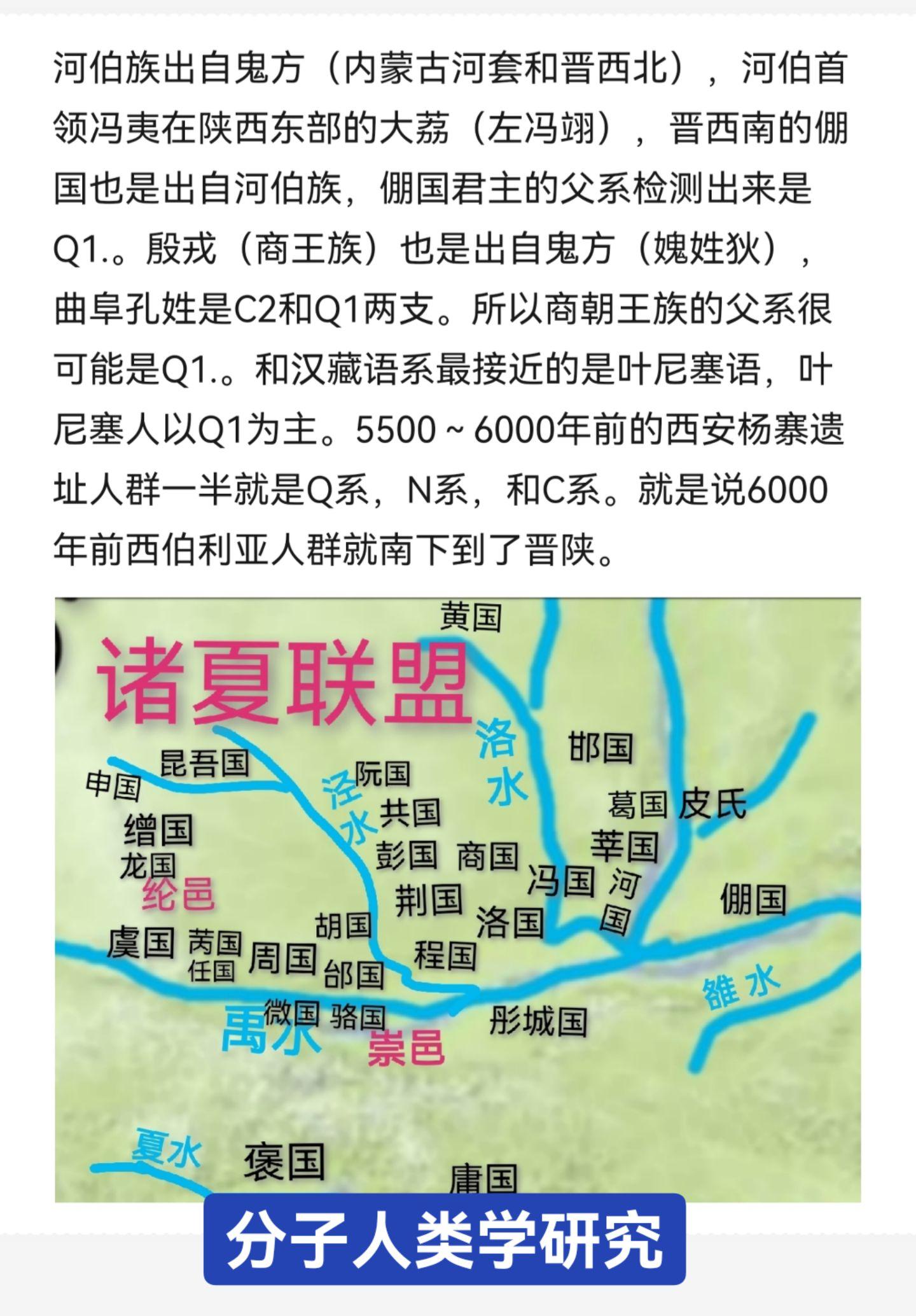分子人类学