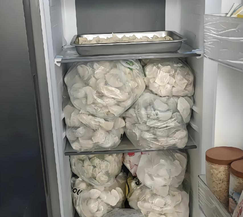 是不是只有东北人冰箱里才有冻饺子
