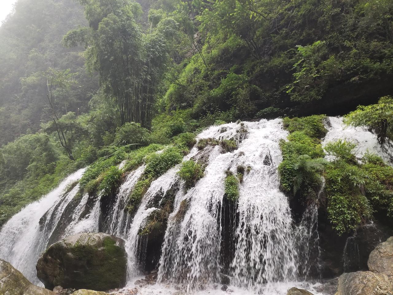 单位一领导六四龙，今年六十有二吧，身体各方面一直很好，没想到刚刚退休，突然间自己