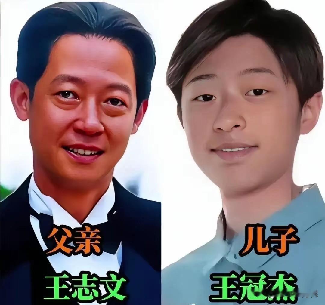 李幼斌、王志文、巍子、邵兵……7位老戏骨的儿子，完美继承了爸爸的颜值！谁是你心中