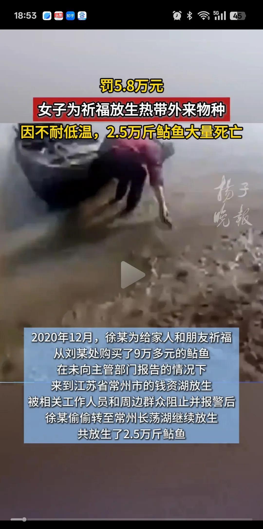 好心办坏事！江苏，一女子为给家人祈福，买了2.5万斤，价值9万多块钱的鲇鱼放生。
