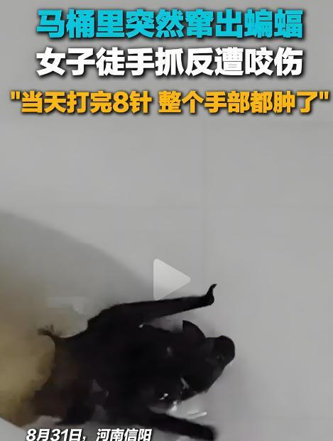 悲剧还是发生了！8月31日，河南信阳，一女子回家之后正要上厕所时，结果却发现马桶