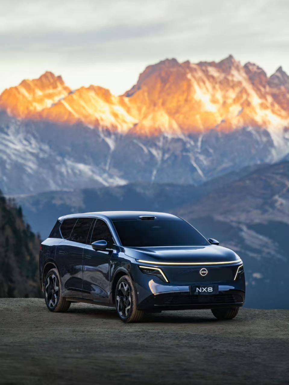 日产N8X这定价太飘了吧，你前两款新能源车买的啥样心里没数吗，N7高开低走，N6
