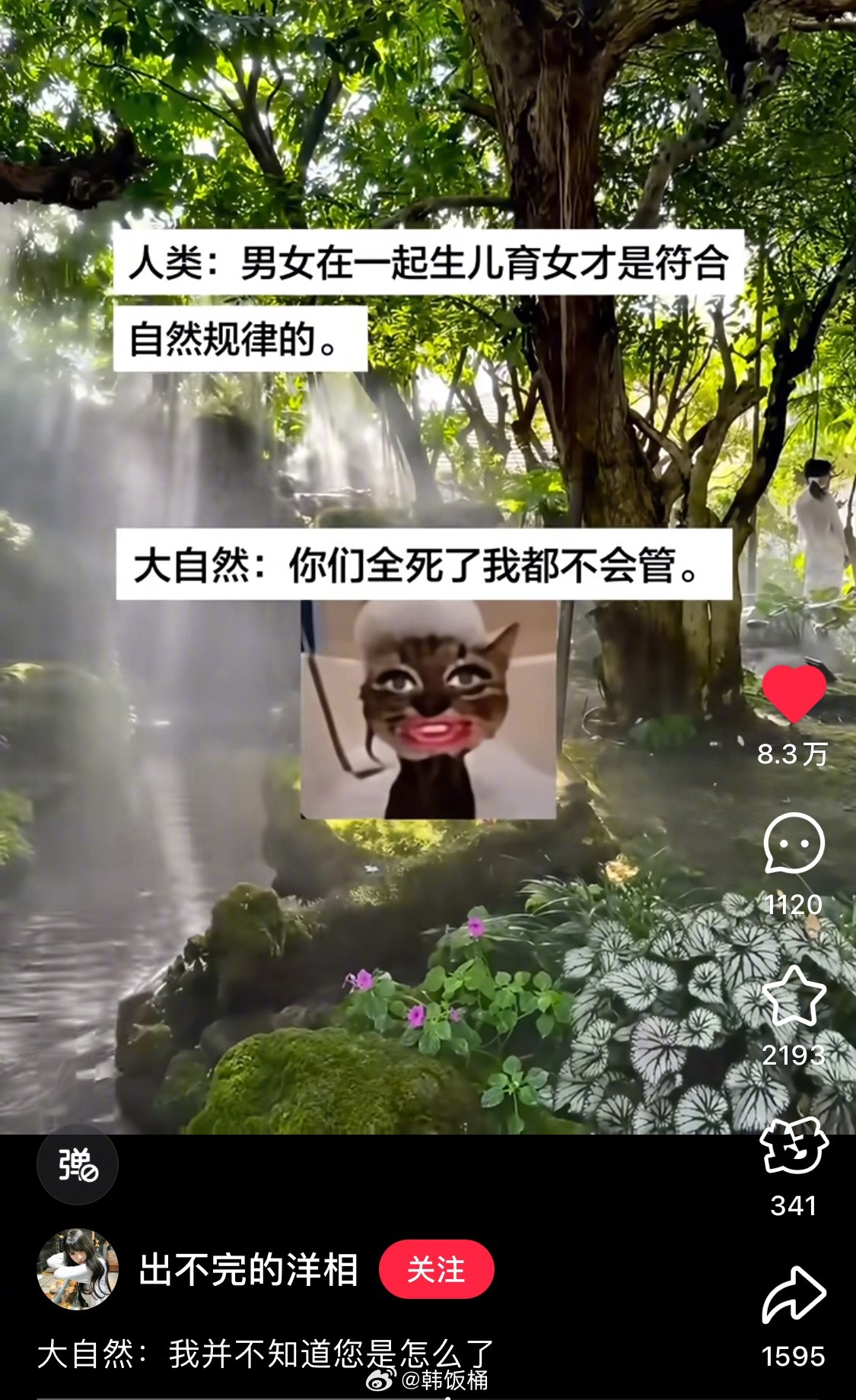 “恐龙灭绝是因为恐龙是丁克吗？”[笑着哭][笑着哭][笑着哭]​​​