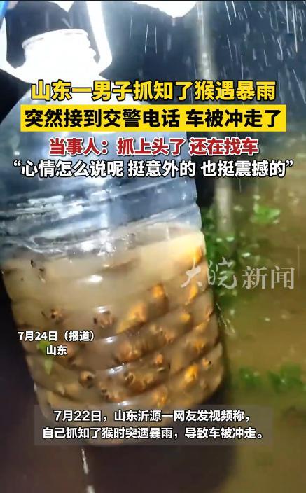 “心真大啊！”7月22日，山东淄博，男子去树林里抓“知了猴”，结果突然下起暴雨，