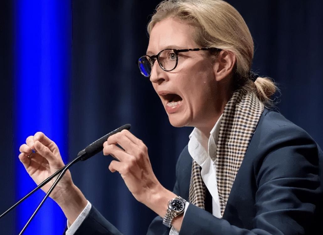 骂战发酵48小时!冯德莱恩硬刚魏德尔,欧盟内部炸锅,美国急着“灭火”?上周