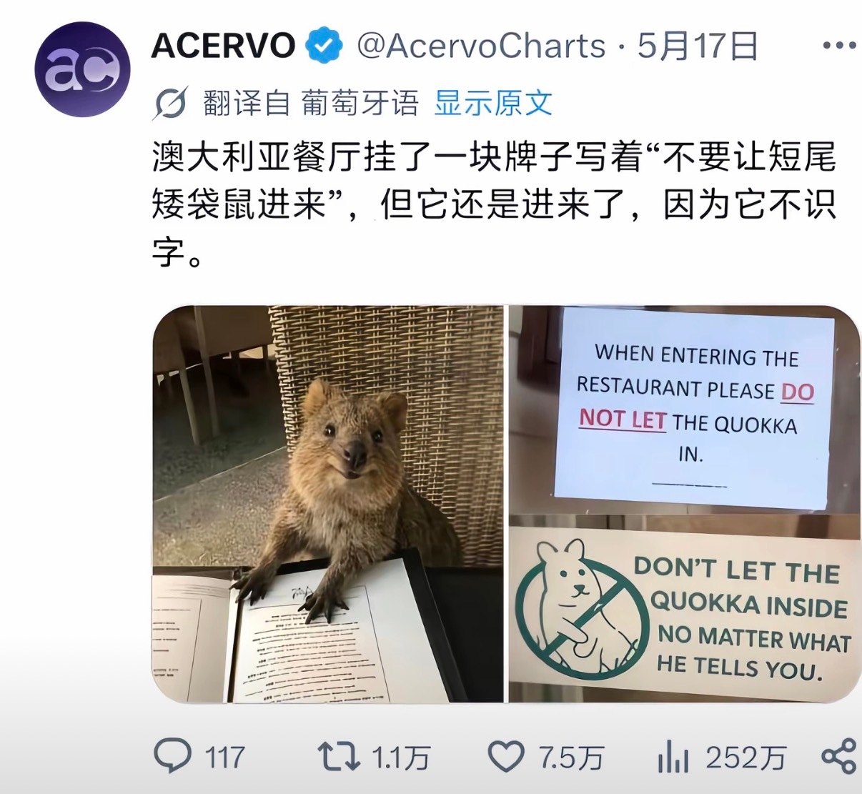 不识字好啊
