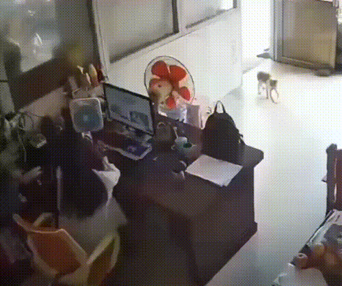 虽然是个动图但我好像听见了声音