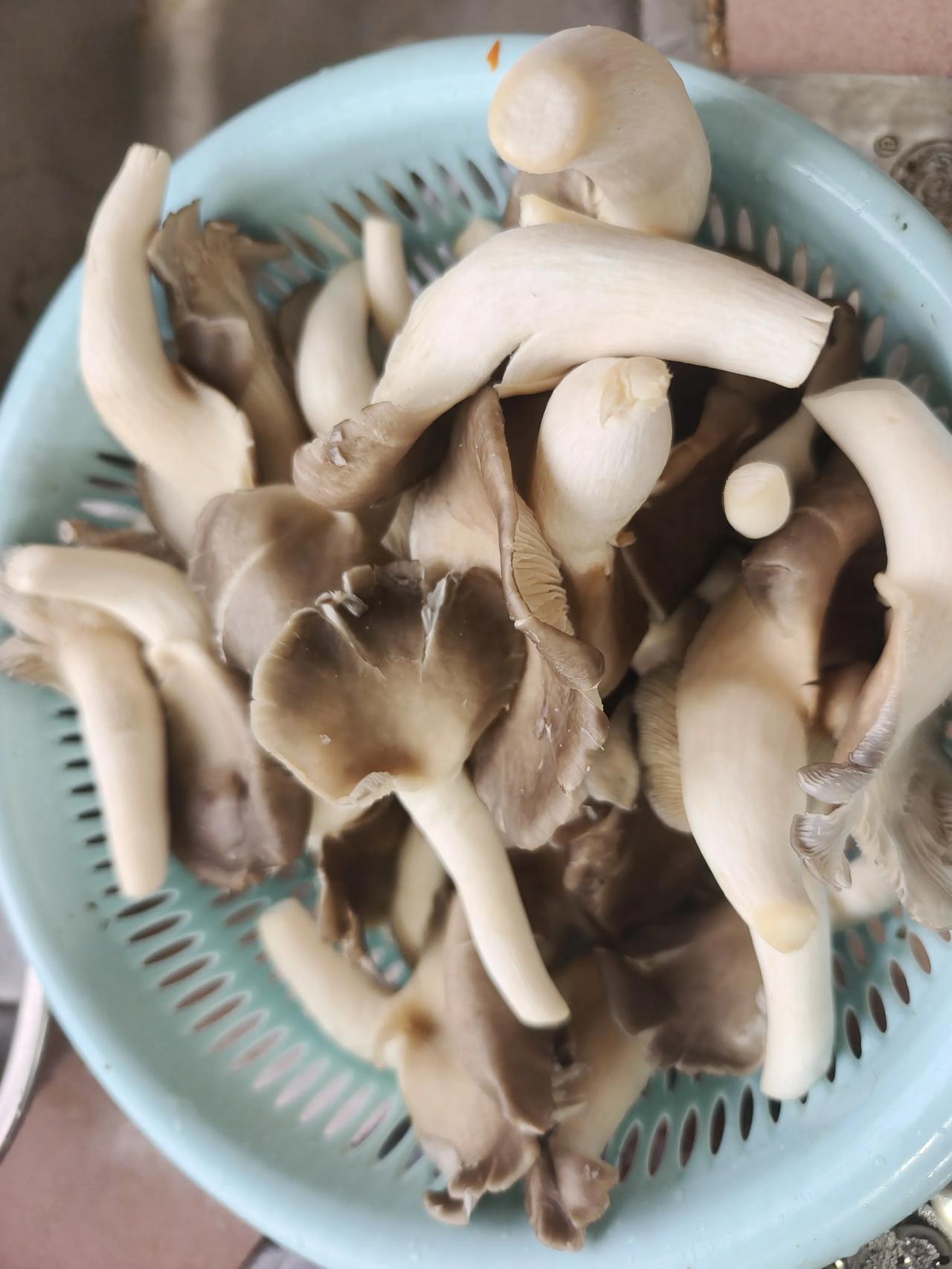 晒出每日美食这也算是我本人的美食吧，你们的美食是澳洲6斤一只大龙虾，每日都鲍参翅