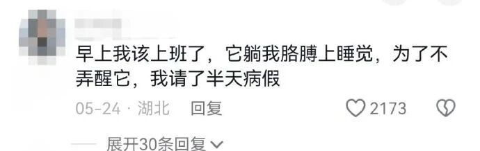 人可以宠猫到什么地步呢​​​