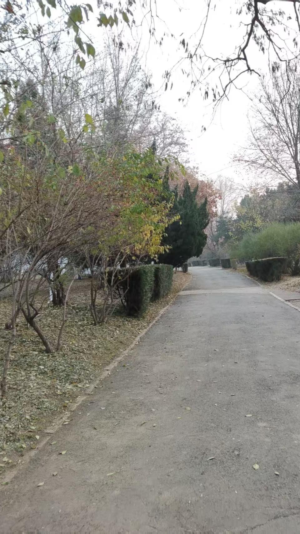 12月2日报道，奉劝大家一定多做善事，因为你的善，总有一天会回馈到你自己或家人身