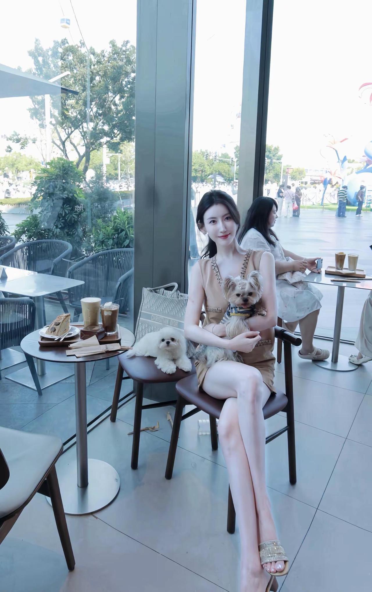 和可爱的修🐶们咖啡馆拍照咖啡馆里有小狗记录一个休闲明媚的下午