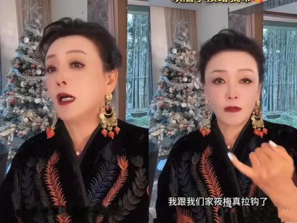 张婉婷近日发声，直接喊话张兰，尖锐提问：“你员工里难道就没有母亲吗？”此言迅速在