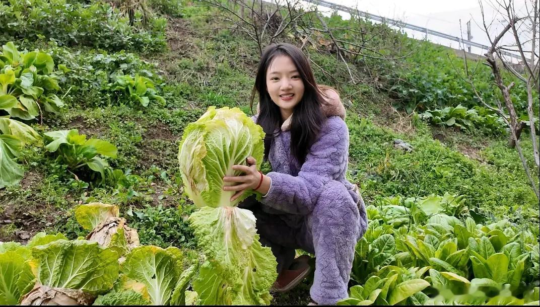 任敏终于找到合适的赛道了吗，下沉市场