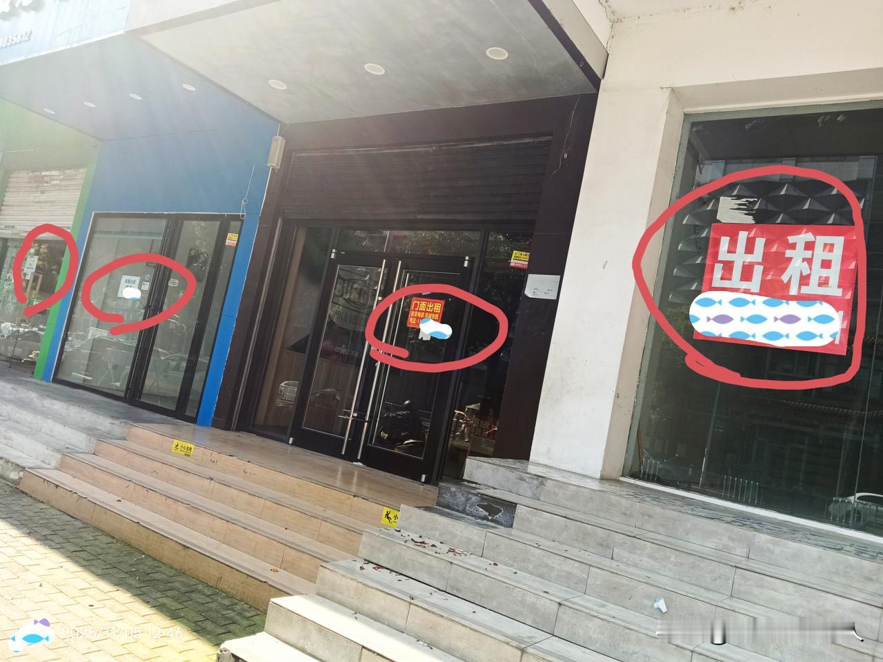 这是什么个情况？连着四间门面空铺出租！这里几乎是老城区最繁华的地段之一！估