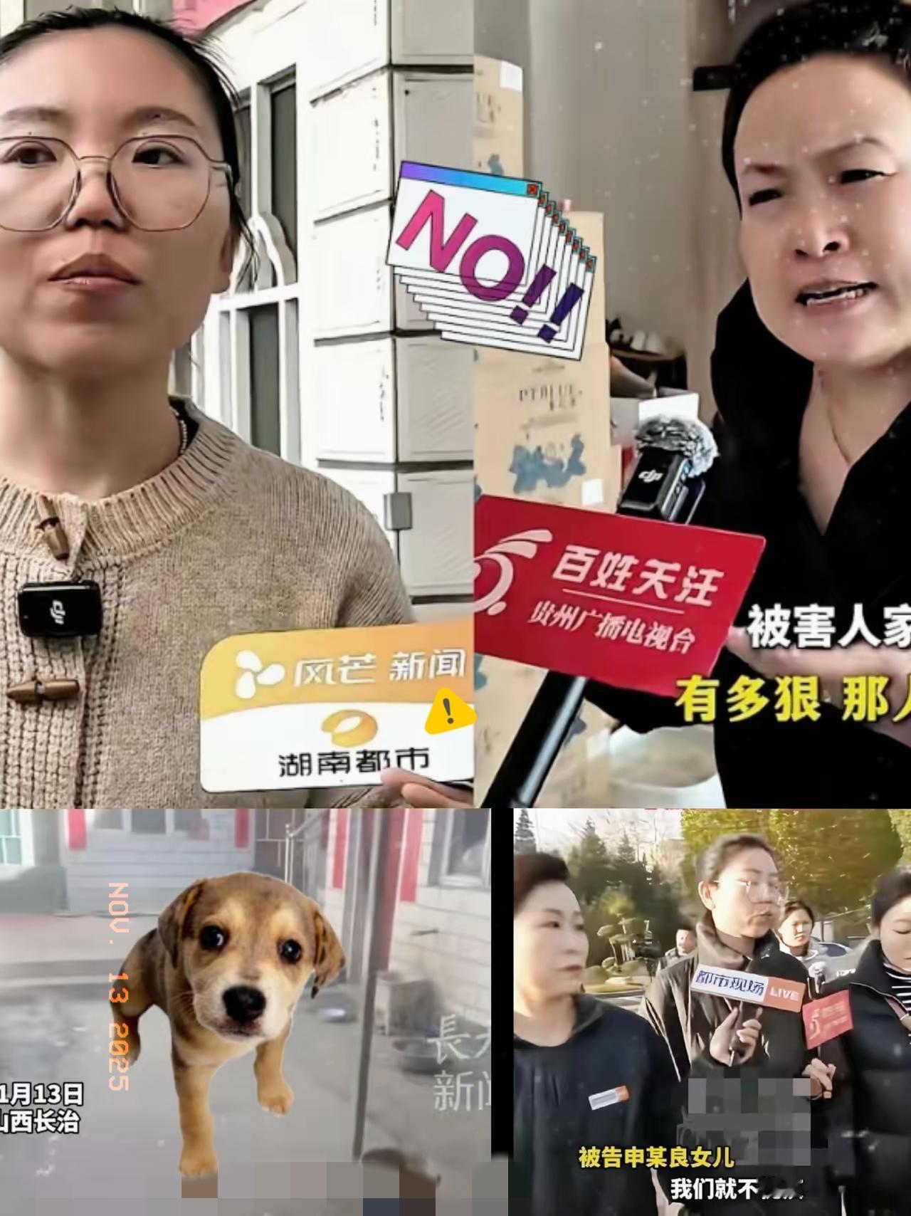 郭某某这家人是真把“嚣张”焊在骨子里了！自家狗咬伤孩子不道歉，反倒放话“我的狗比