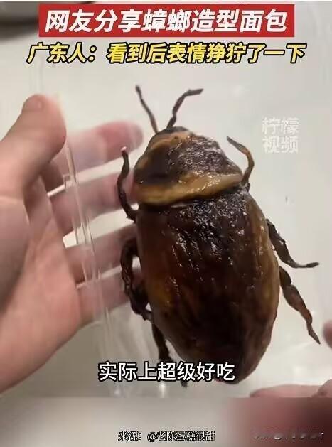 天塌了[笑着哭]我对这玩意过敏做标本的拆开来也差不多是这样[捂脸哭]沃尔玛超市的蟑