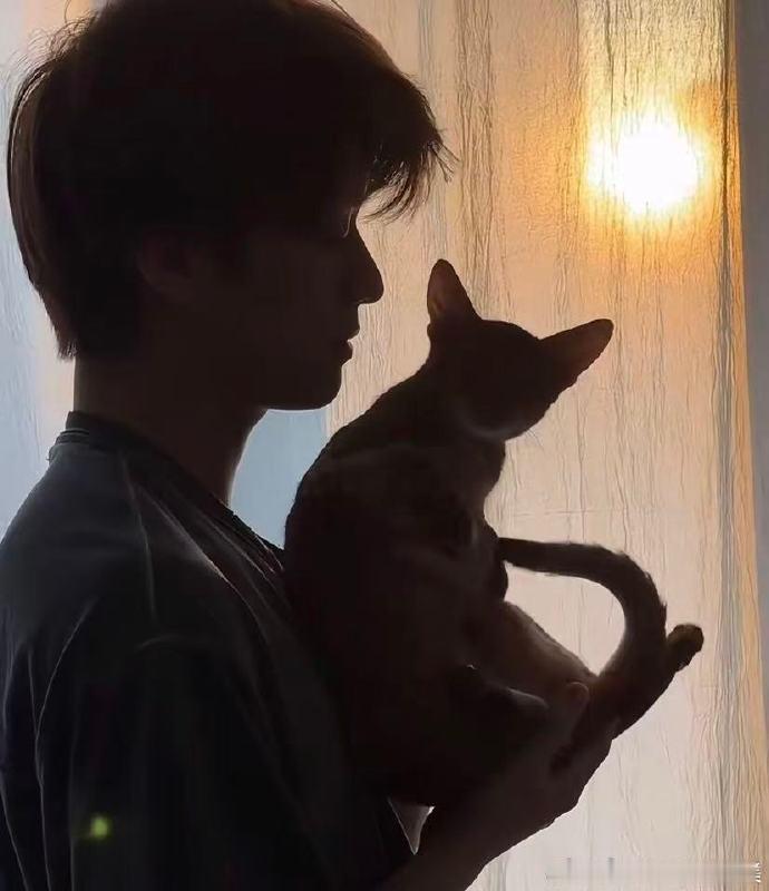 张康乐平等端水每一只猫咪对待小动物都如此用心周全，骨子里的温柔根本装不出来，细碎