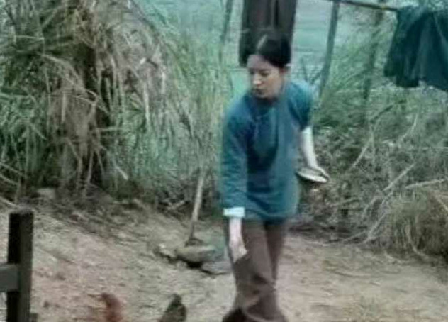 刘亦菲演的农村妇女也太假了吧，喂鸡是不用追着喂的啊...​