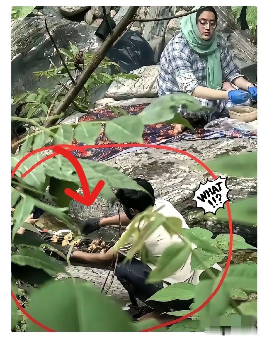 阿三在秦岭防火区内烧烤后续来啦。人找到了，已经传唤调查，具体处罚结果要等官宣。