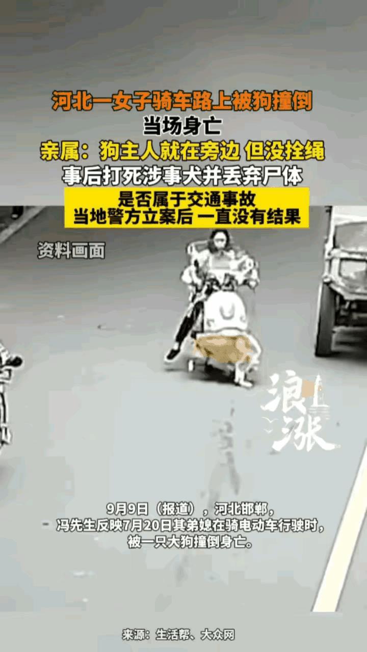 狗撞死人，狗主人应该才是责任主体，而不能仅仅只是把狗打死便一了了之，骑电动车女子