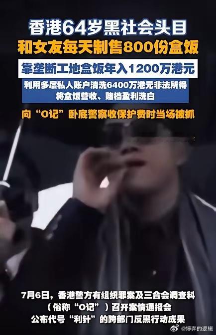 美国黑帮卖白粉，墨西哥黑帮卖洗澡车，日本黑帮回收旧空调，而中国香港黑帮卖盒饭。哈