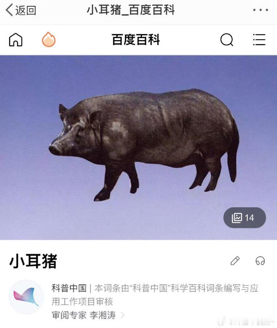 我要是肖战我也会直接挂电话，，，