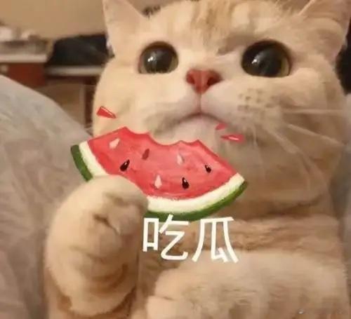 1.白豆腐喜欢儿子，曾经暗示过老婆，想要再生二胎，只不过他老婆没同意。2.冷白皮