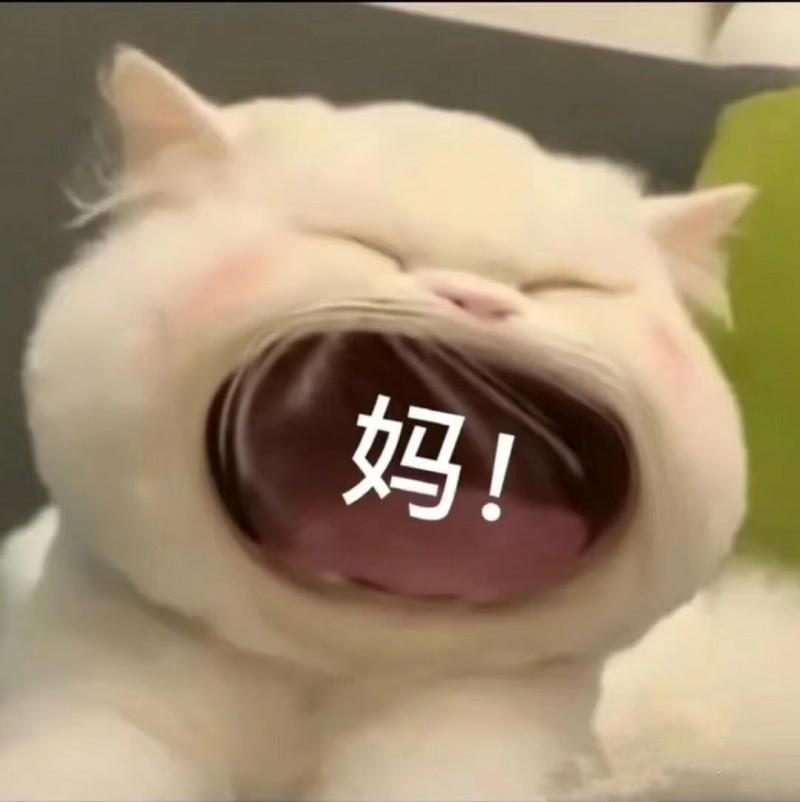 更年期“停战”指南！拯救老妈的睡眠扛不住，真扛不住，自打我妈到了更年期，家里就