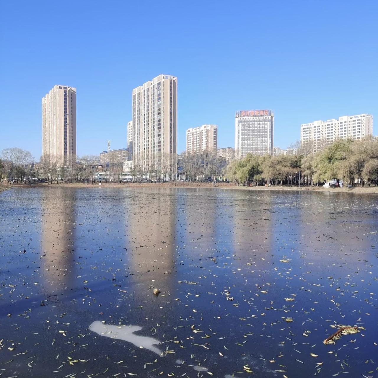 早上上班看到邻居被救护车拉走了，才短短20天，也因为得了乳腺癌，整天把自己锁在家