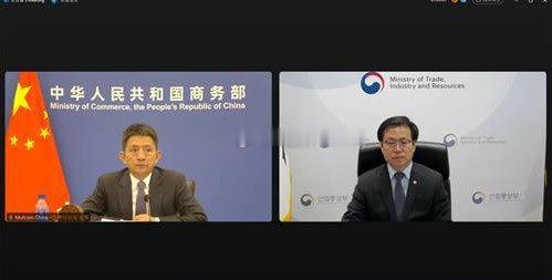 今天上午，商务部国际贸易谈判代表李成钢与韩国产业通商部部长吕翰九召开视频会议。双