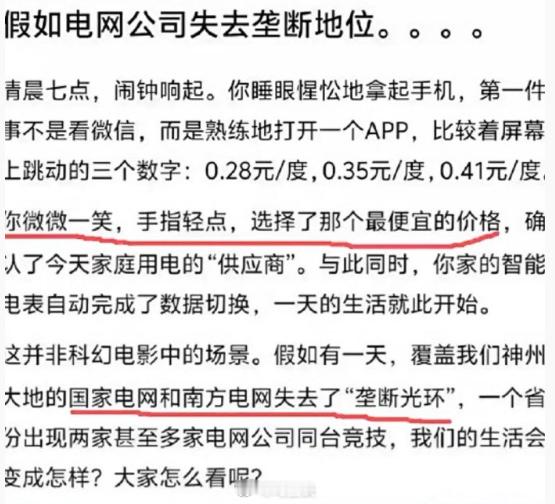 美国电网不垄断，建议全家砸锅卖铁润过去…