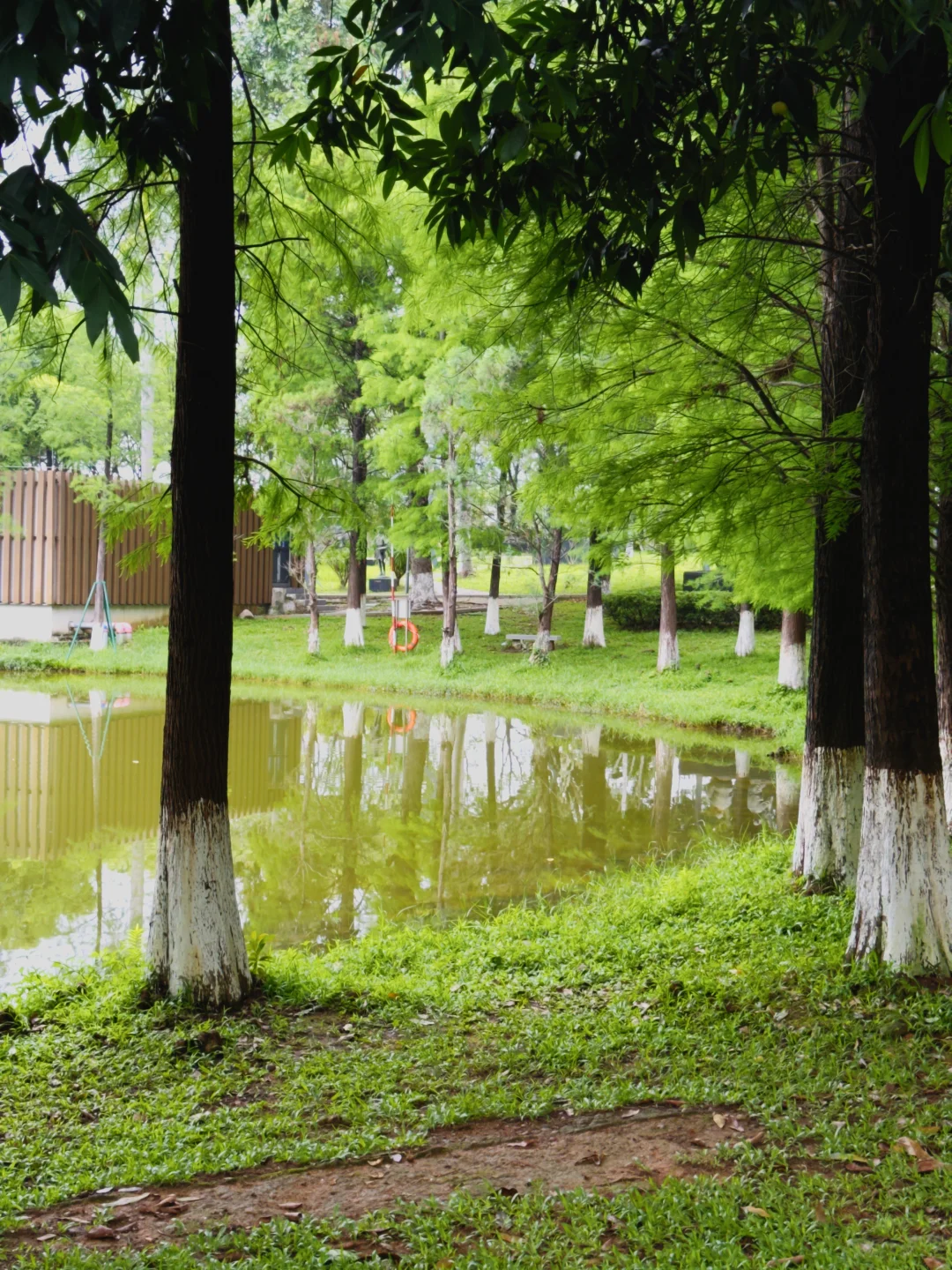 被绿包围的公园🌳🍃