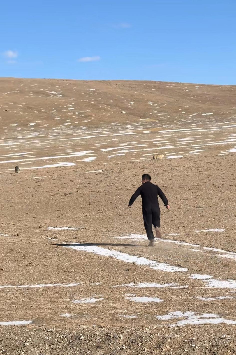 还有个大傻在海拔5200的地方,提着把大刀去追狼,再多跑俩步都高反了,狼都不用出