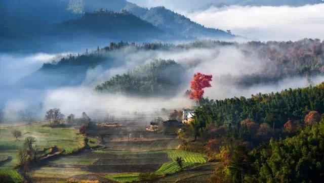 在徽州，总有一种风景，温暖了心，走进了梦​​​
