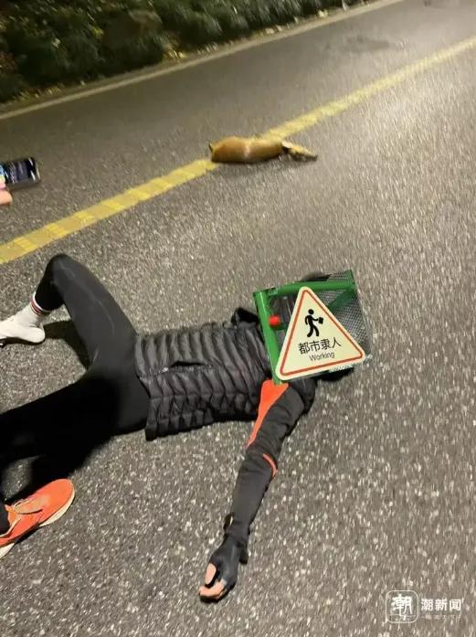杭州龙井路又出事了！昨晚一名夜骑小伙在下坡时撞上突然窜出的黄麂，连人带车翻倒，导